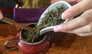 冰红茶怎样做 自制冰红茶